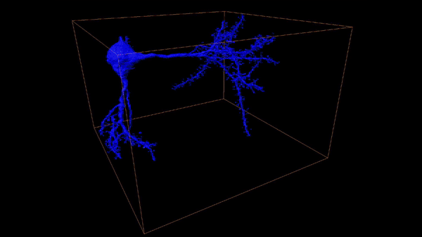 Brain Puzzles, Science on Blast(s) and Human-Robot Synchronicity