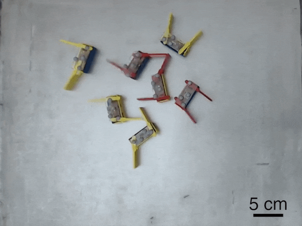 Prehistoric Suckers, Slapping Robots and Three Billion Birds Gone